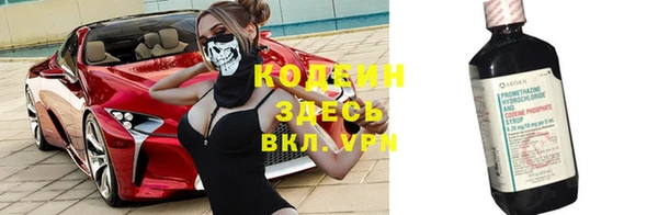 гидра Костерёво