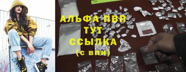 гидра Костерёво