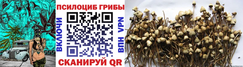 Псилоцибиновые грибы ЛСД  MEGA как войти  Новый Оскол 